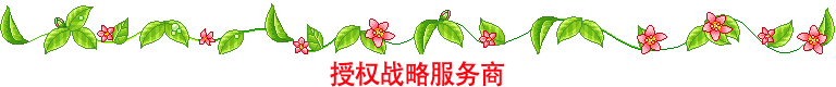 授权战略服务商